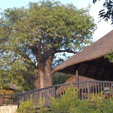מוסינה Adansonia Eco Lodge מראה חיצוני תמונה