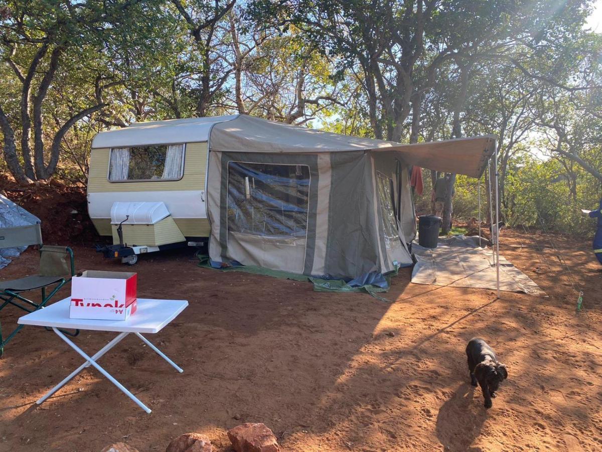 מוסינה Adansonia Eco Lodge מראה חיצוני תמונה