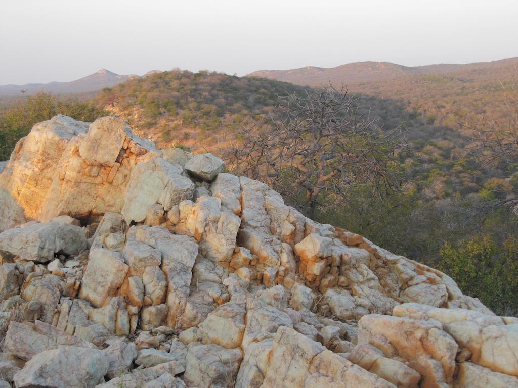 מוסינה Adansonia Eco Lodge מראה חיצוני תמונה