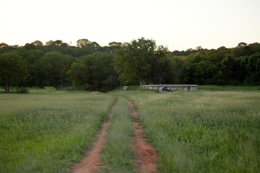 מוסינה Adansonia Eco Lodge מראה חיצוני תמונה