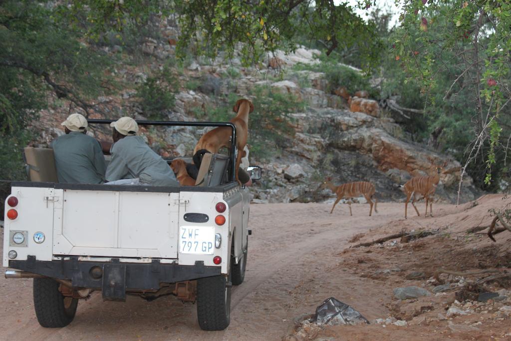 מוסינה Adansonia Eco Lodge מראה חיצוני תמונה