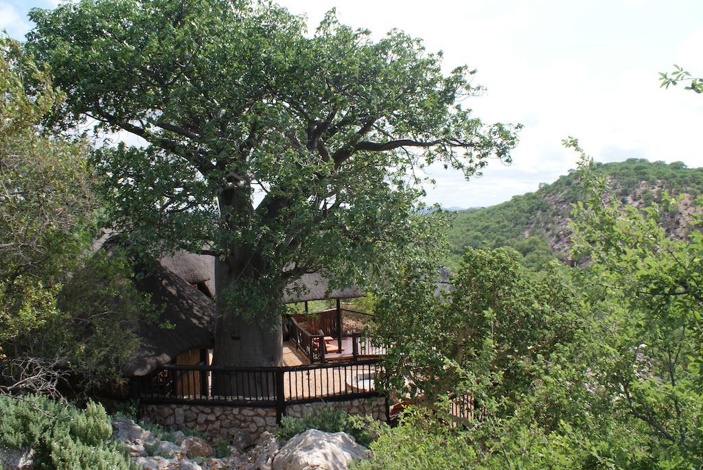 מוסינה Adansonia Eco Lodge מראה חיצוני תמונה