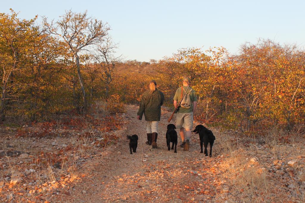 מוסינה Adansonia Eco Lodge מראה חיצוני תמונה