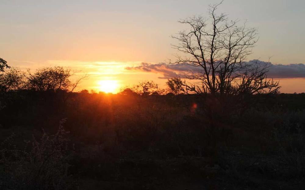 מוסינה Adansonia Eco Lodge מראה חיצוני תמונה