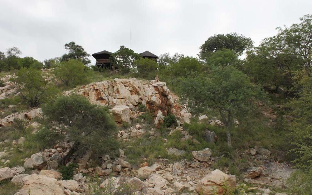 מוסינה Adansonia Eco Lodge מראה חיצוני תמונה