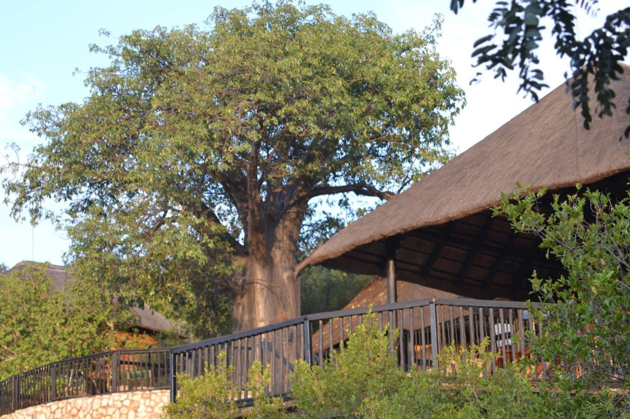מוסינה Adansonia Eco Lodge מראה חיצוני תמונה