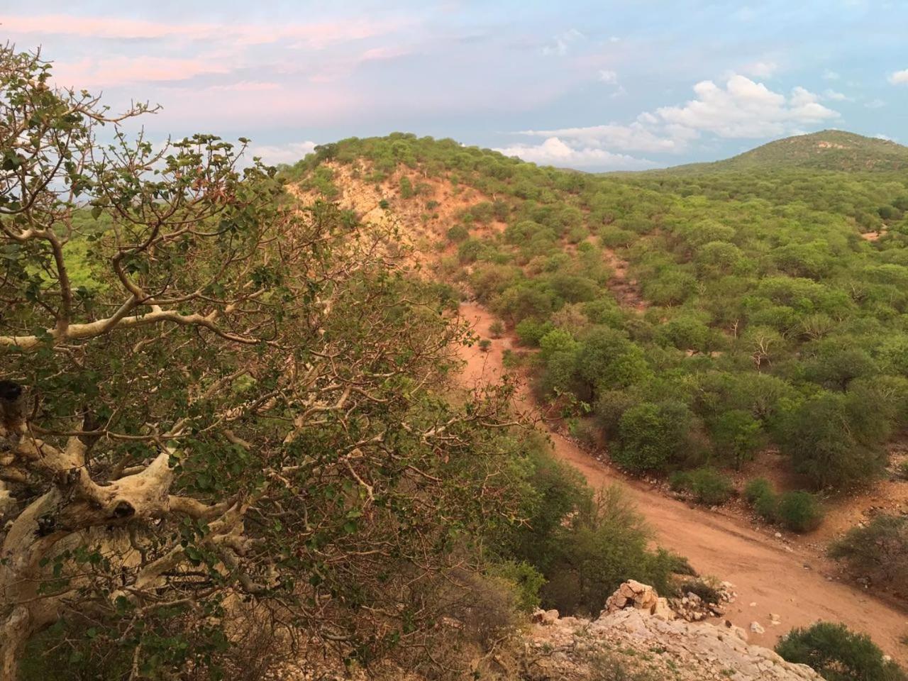 מוסינה Adansonia Eco Lodge מראה חיצוני תמונה