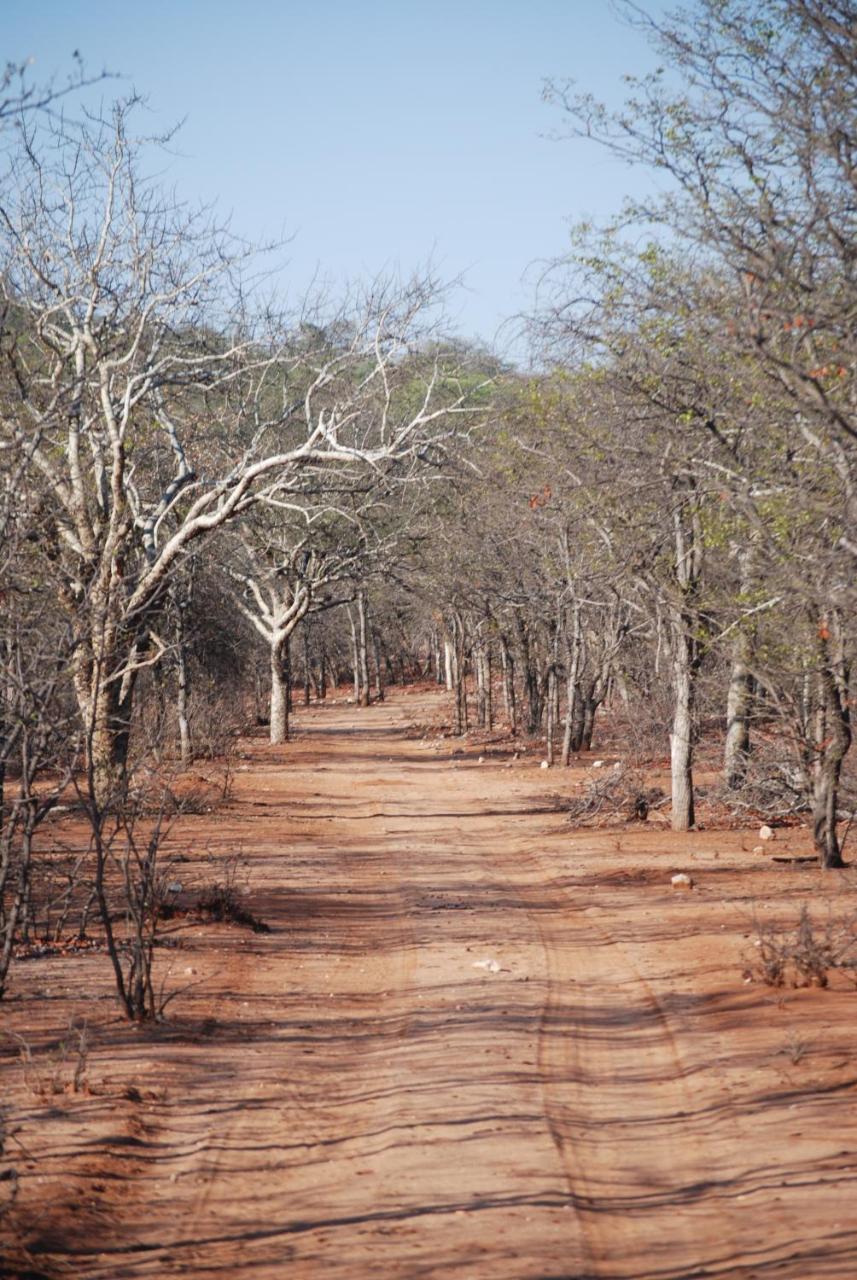 מוסינה Adansonia Eco Lodge מראה חיצוני תמונה